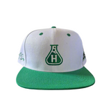Beaker Snapback - Green / White