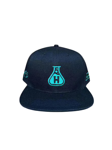 Beaker Snapback - Black /  Mint