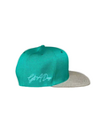 Beaker Snapback - Green /  Brown