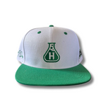 Beaker Snapback - Green / White